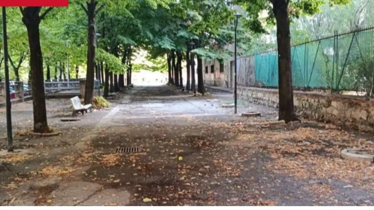 Decoro urbano nel quartiere Torrione: domani la pulizia straordinaria di Viale Alessandro Pansa grazie alla segnalazione di Torrione Eventi APS