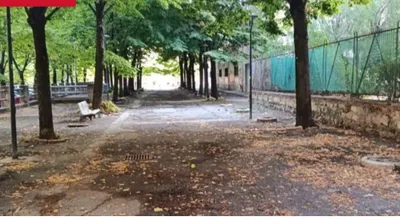 Decoro urbano nel quartiere Torrione: domani la pulizia straordinaria di Viale Alessandro Pansa grazie alla segnalazione di Torrione Eventi APS