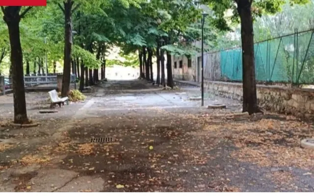 Decoro urbano nel quartiere Torrione: domani la pulizia straordinaria di Viale Alessandro Pansa grazie alla segnalazione di Torrione Eventi APS
