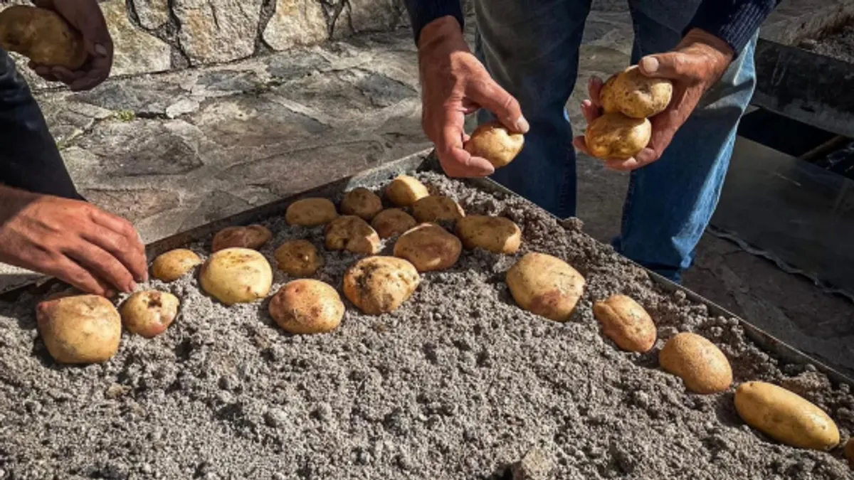 Castelcivita, la Patata di Montagna protagonista della 15ª edizione della festa nel borgo degli Alburni
