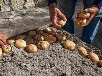 Castelcivita, la Patata di Montagna protagonista della 15ª edizione della festa nel borgo degli Alburni
