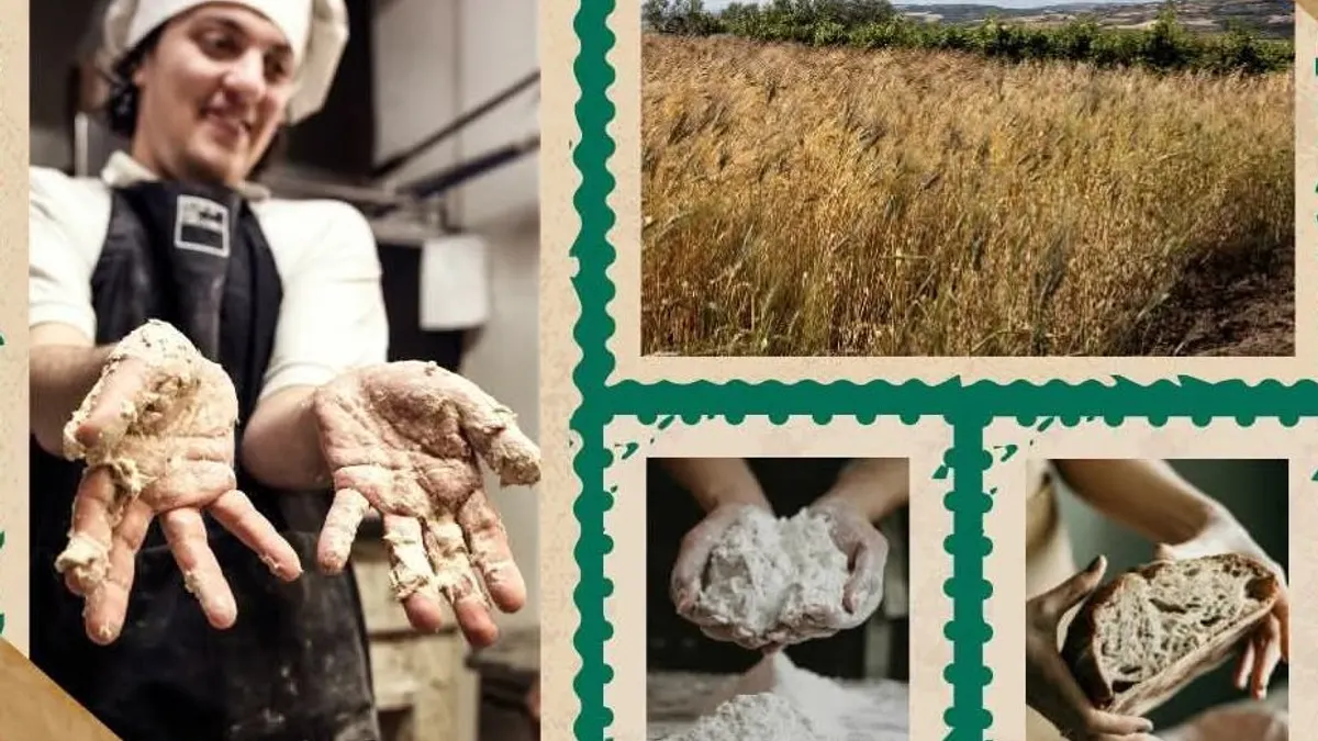 Iniziative di solidarietà e tradizione a Eboli: al via "Pane Nostrum" tra laboratori, degustazioni e inclusione sociale