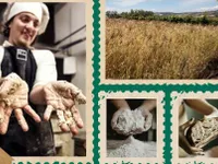 Iniziative di solidarietà e tradizione a Eboli: al via "Pane Nostrum" tra laboratori, degustazioni e inclusione sociale