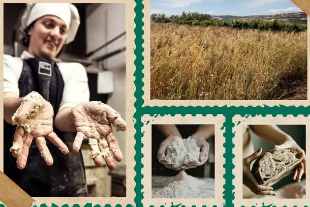 Iniziative di solidarietà e tradizione a Eboli: al via "Pane Nostrum" tra laboratori, degustazioni e inclusione sociale