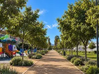 Raccolte oltre 800 firme per un Parco Liborio Bonifacio più verde, Agropoli Sostenibile propone la piantumazione di 20 alberi: "Siamo ancora in attesa di una risposta ufficiale"