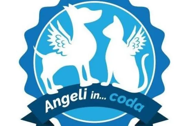 Eboli, rifugio per cani disabili e malati rischia la chiusura: l'appello per salvare gli animali di Angeli in Coda